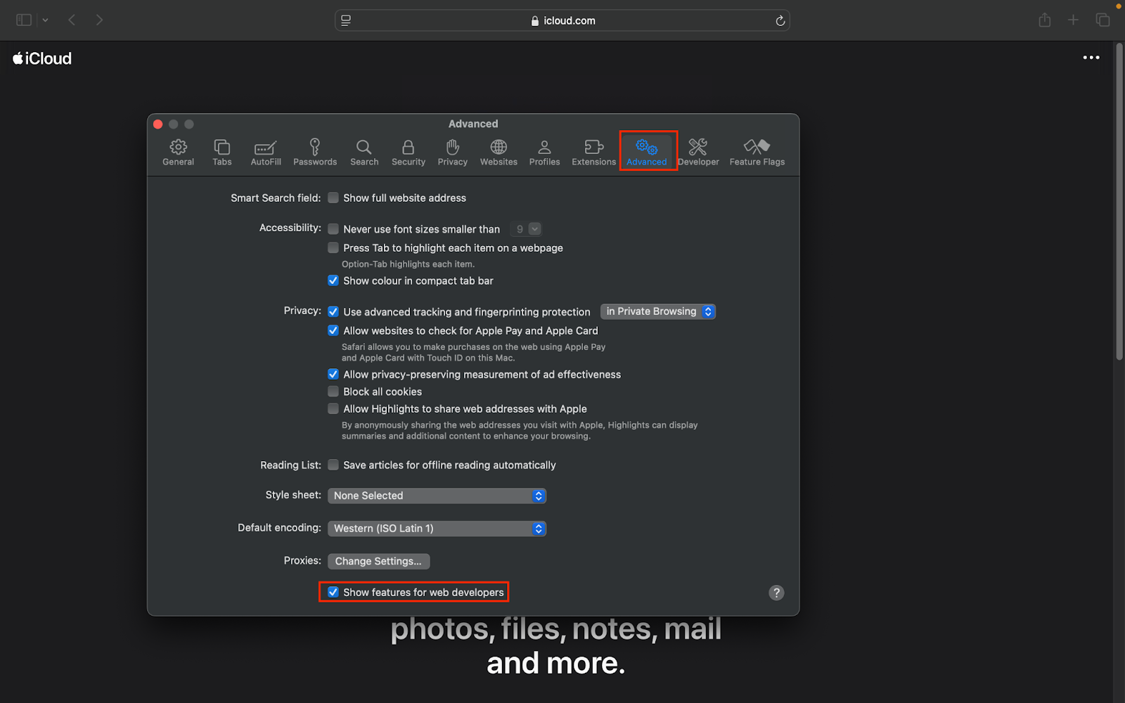 iOS MacBook advanced settings, enable show features for the web developers