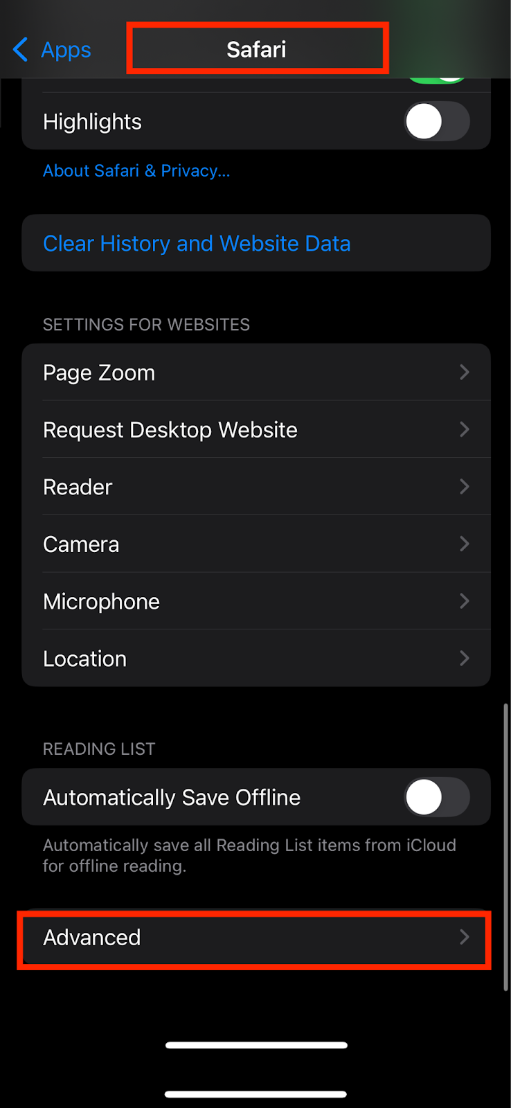 iOS iPhone Safari advanced settings