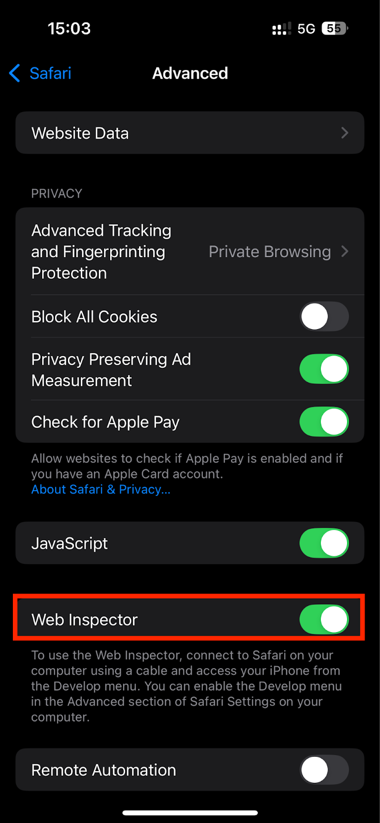iOS iPhone enable web inspector