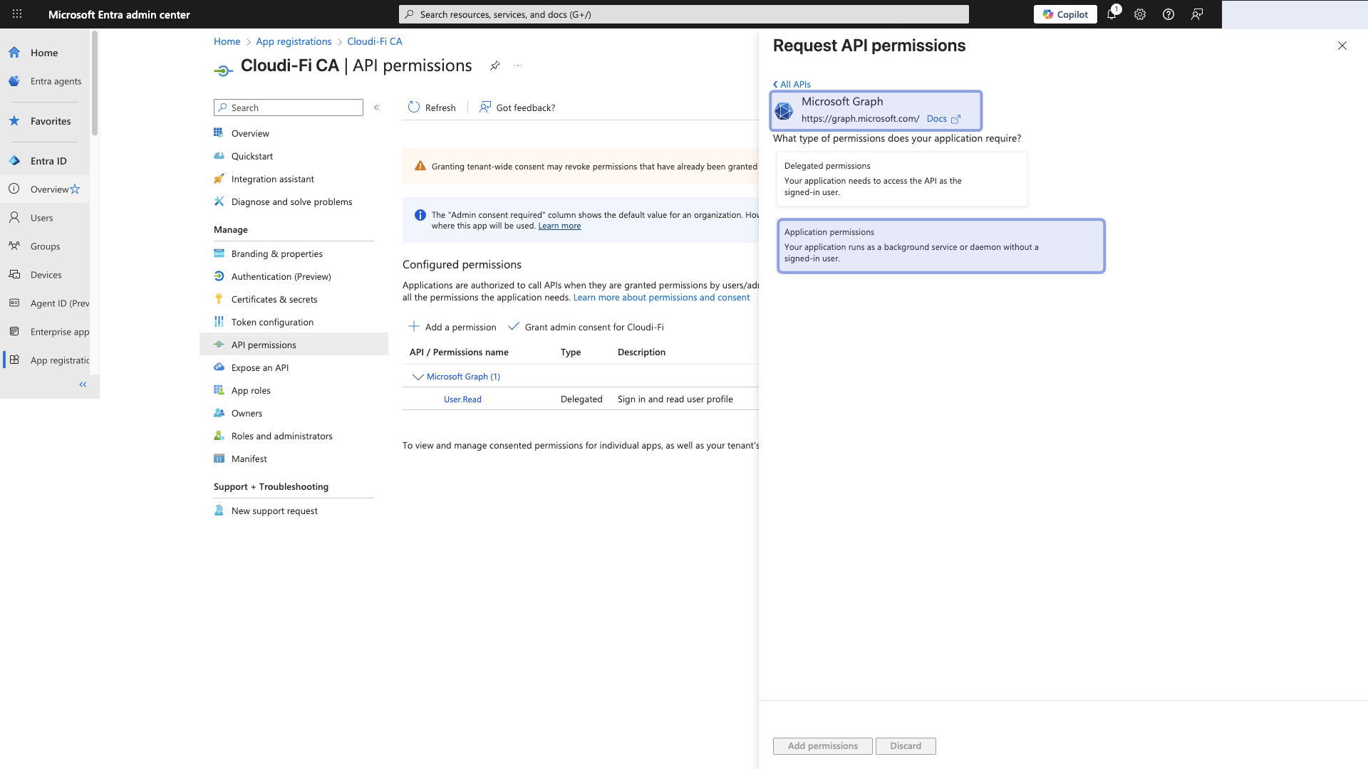 Microsoft entra - graph application.png