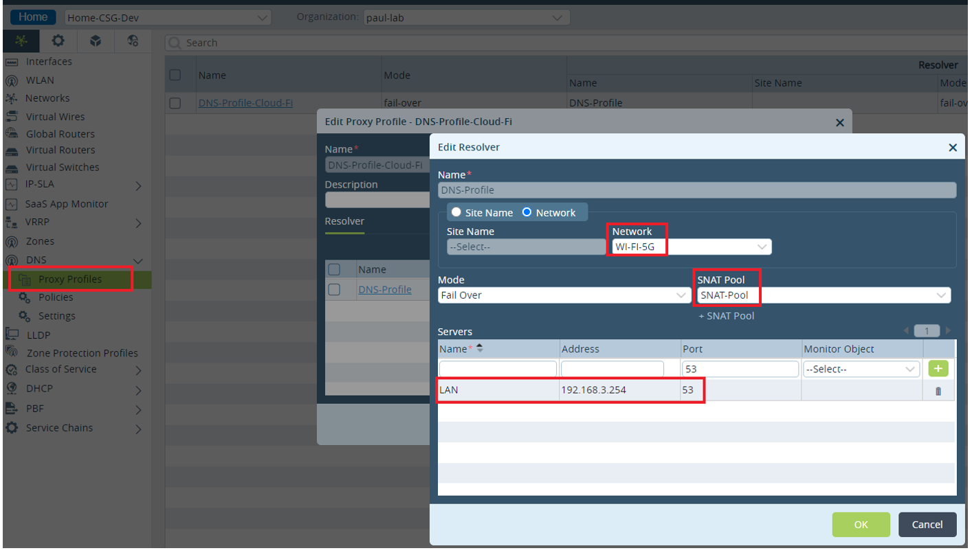 DNS Proxy Profile Configuration in versa Director