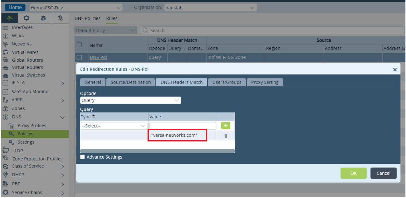 DNS Proxy Policy Configuration in versa Director 1